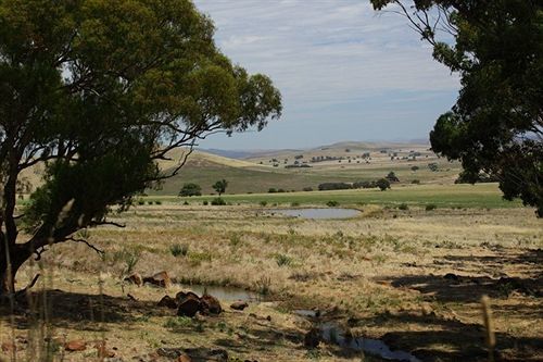 Tuki Retreat Bed & Breakfast Smeaton Exterior photo